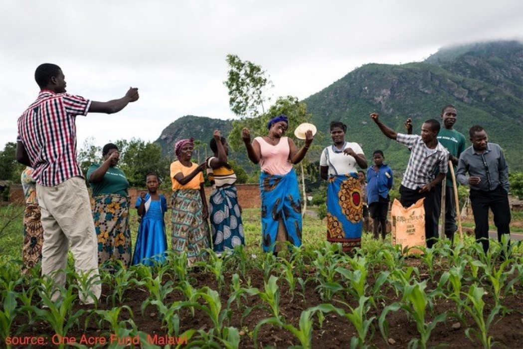 Agribusiness photo